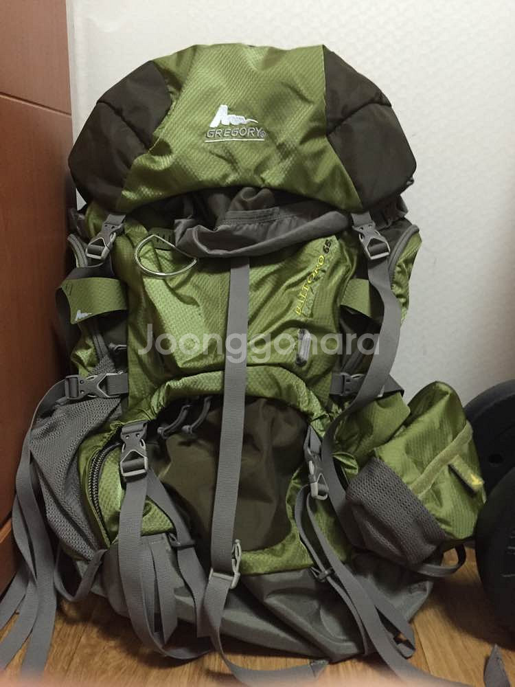 그레고리발토르 65L 토르소s--0