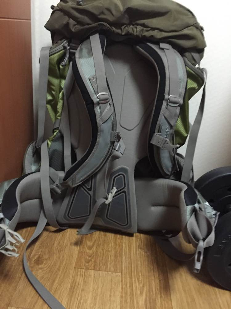 그레고리발토르 65L 토르소s 이미지