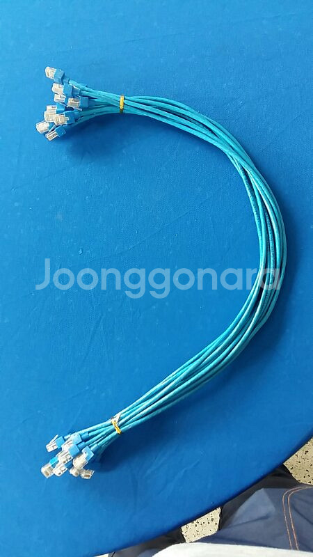 인터넷 선 UTP 케이블 40cm,50cm cat--0