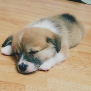 최저가 최단기 영한 한영 번역해드립니다