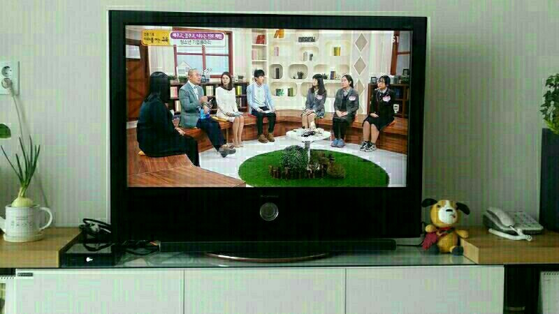 42인치tv 42LG60FD fullhd  LCD 이미지
