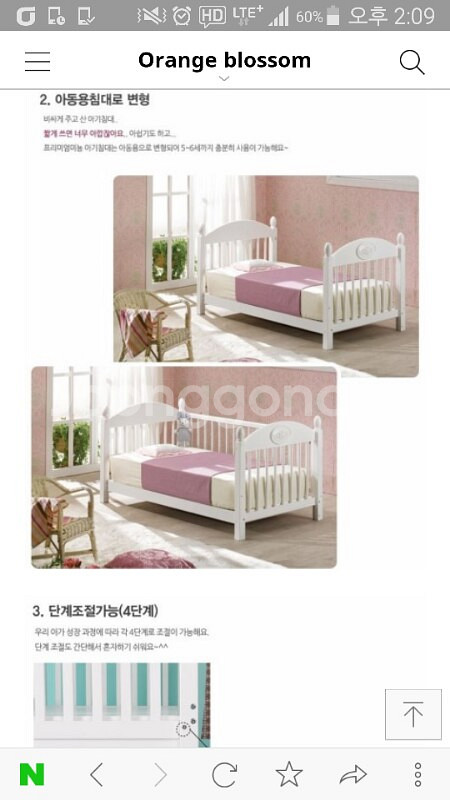 쁘띠라뺑 프리미엄미뇽--1