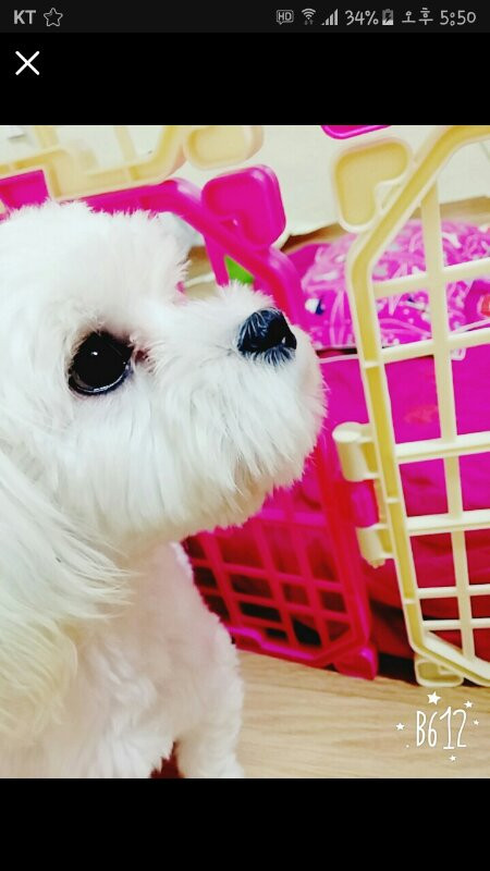 강아지울타리팔아요--2