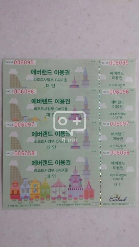 에버랜드 자유이용권 이미지