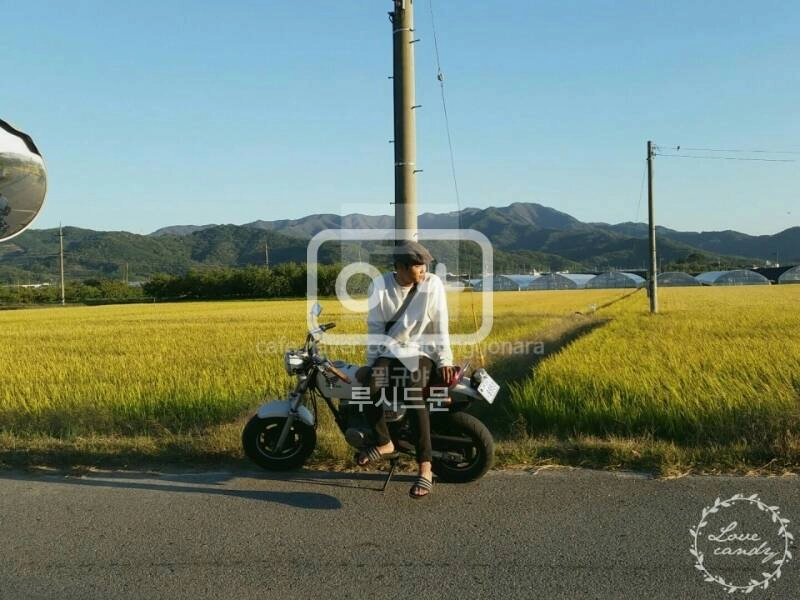 혼다 에이프50 (서대문구 명지대/가좌역 인근/택 이미지