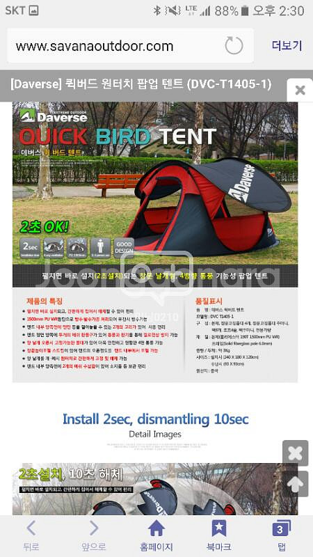 Daverse 퀵버드 원터치 텐트 판매--0