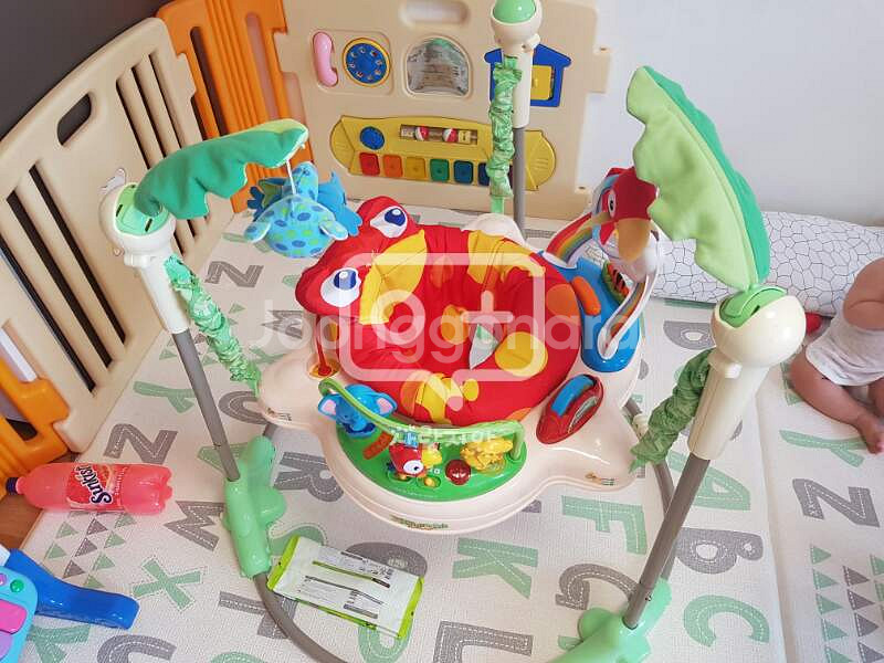 개구리점퍼루 (rainforest jumperoo--0