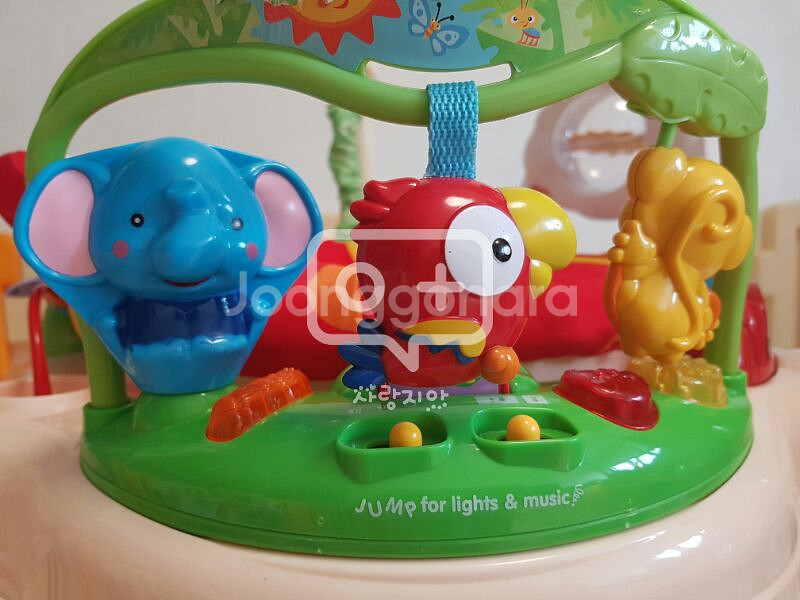 개구리점퍼루 (rainforest jumperoo--2