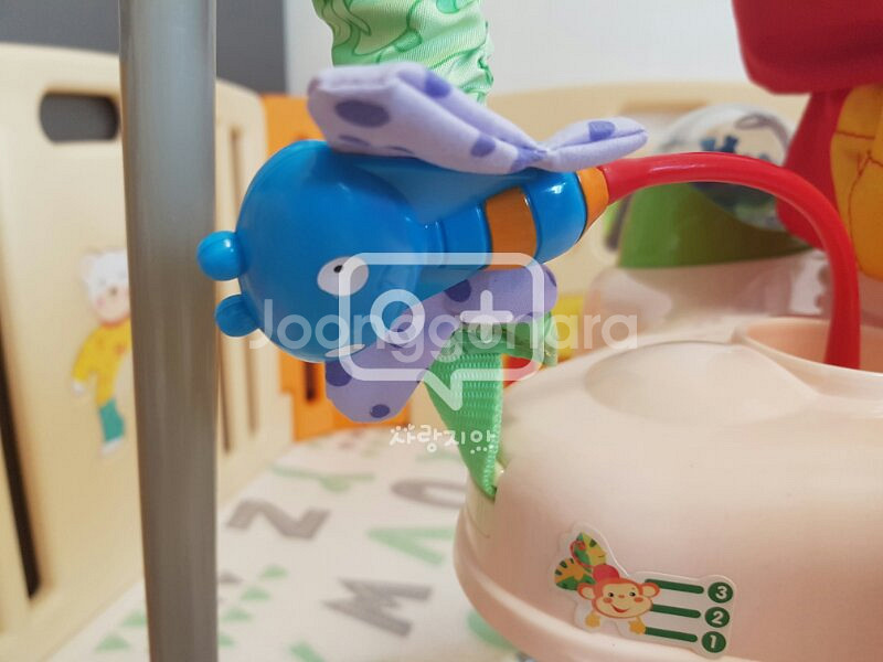 개구리점퍼루 (rainforest jumperoo--5