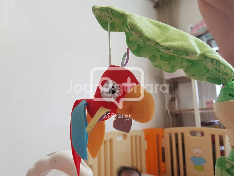 개구리점퍼루 (rainforest jumperoo--7