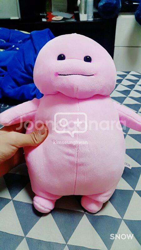 지방이인형 싸게 팔고있어여~(연락~)--0