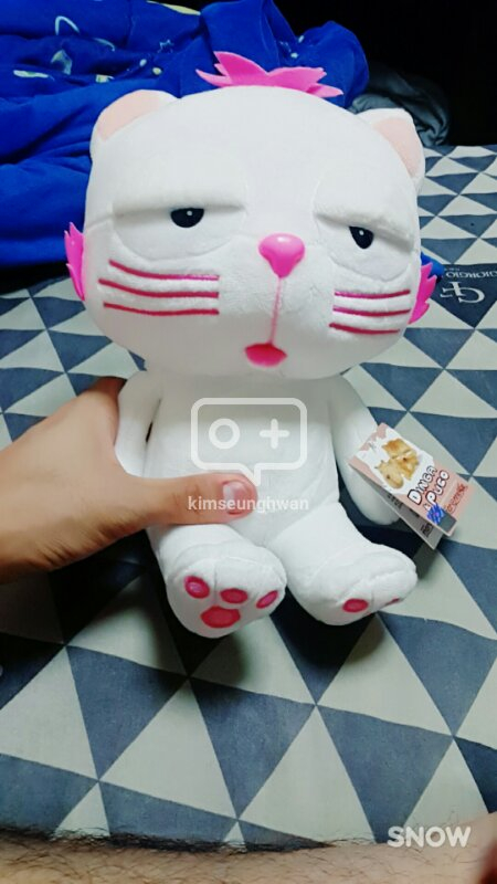 최소3500원 최대5500원 싼인형들 출동!--1