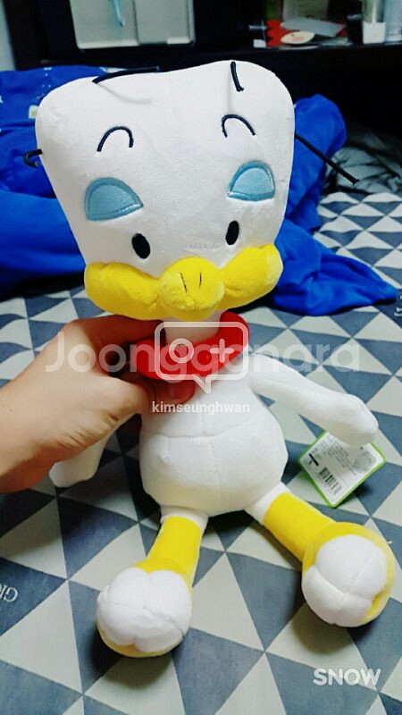 최소3500원 최대5500원 싼인형들 출동!--2