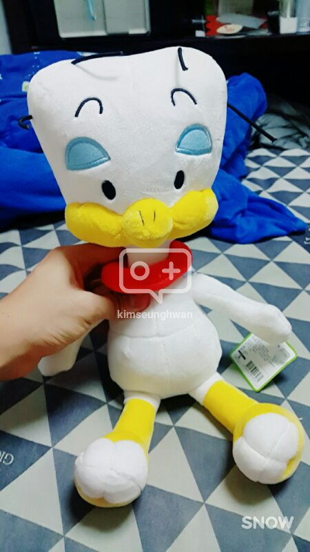 최소3500원 최대5500원 싼인형들 출동!--2