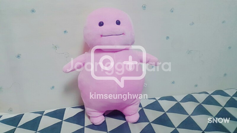 지방이인형 2개팔아여~--0