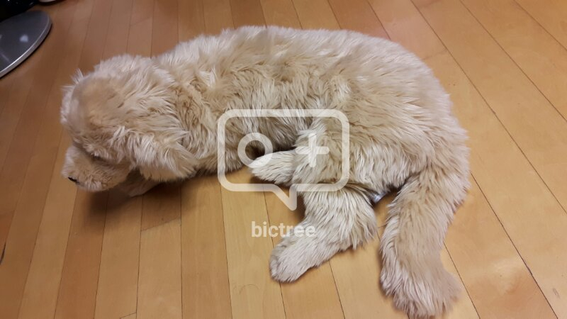 강아지 인형 (MINGLE* R 사 제품)--1