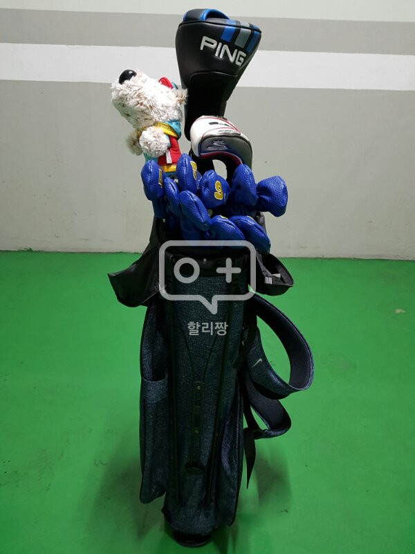 나이키 스탠드백(정품) 이미지