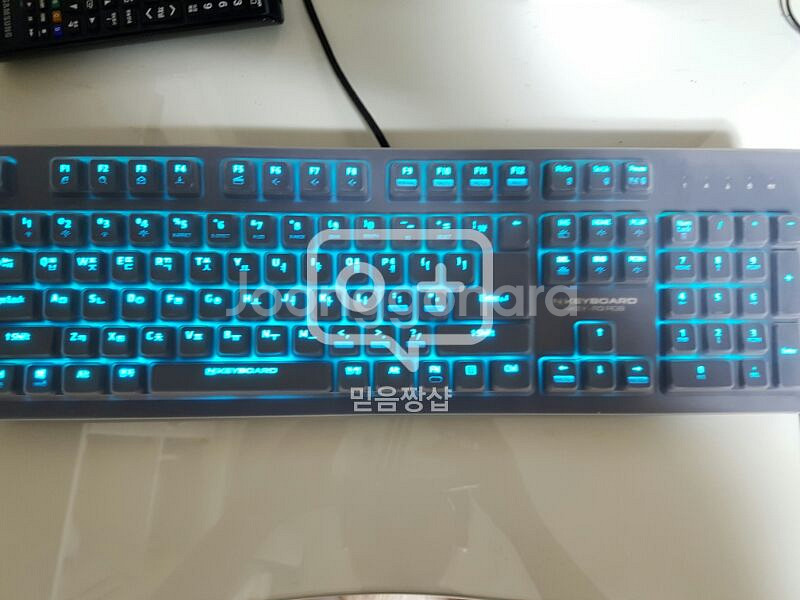 스카이디지탈 nkeyboard r3 rgb 청축 --1