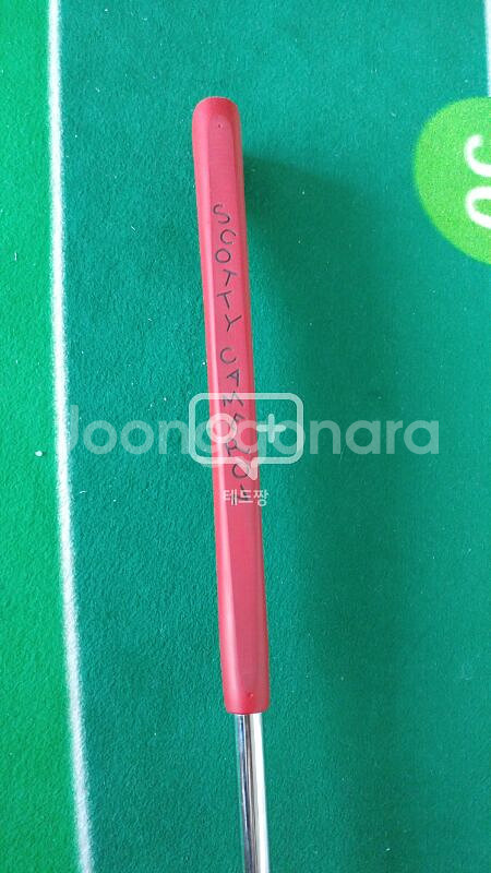 스카티카메론 Fastback Select 34인치--3