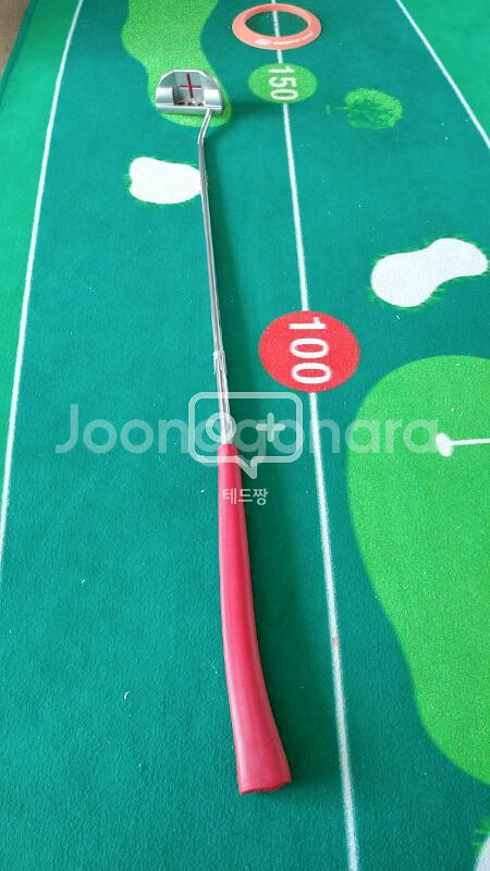 스카티카메론 Fastback Select 34인치--4