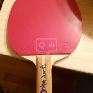 주세혁라켓+테너지64+그래스디텍스 롱핌플