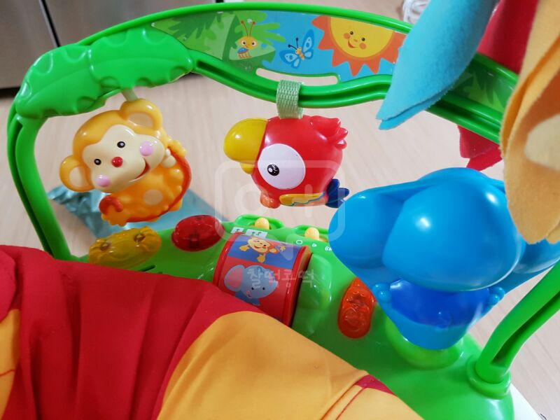 나주 혁신도시 피셔프라이스 개구리 점퍼루--1