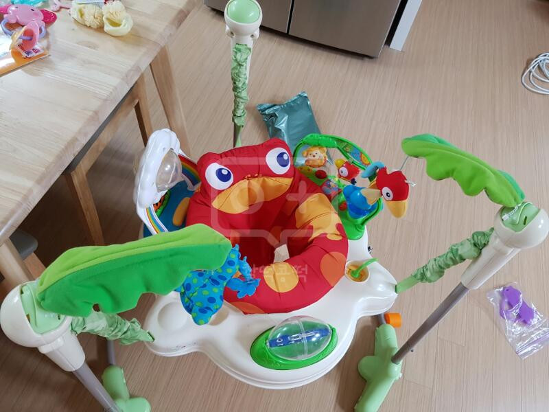 나주 혁신도시 피셔프라이스 개구리 점퍼루--2