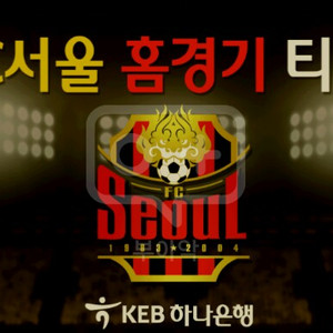 fc 서울 홈경기 티켓