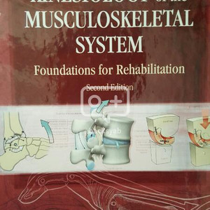 뉴만 kinesiology of themuscul