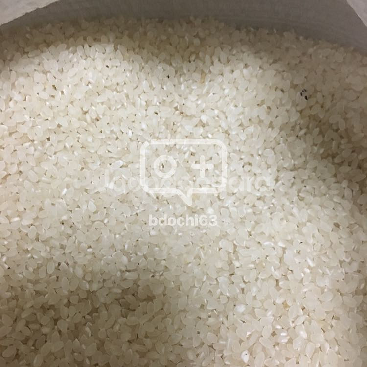 평택 햅쌀  20키로씩  팝니다  4만원입니다--2