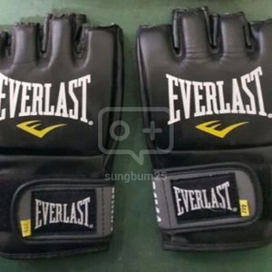 스탠딩 샌드백 글러브 포함 에버레스트 10만원 서
