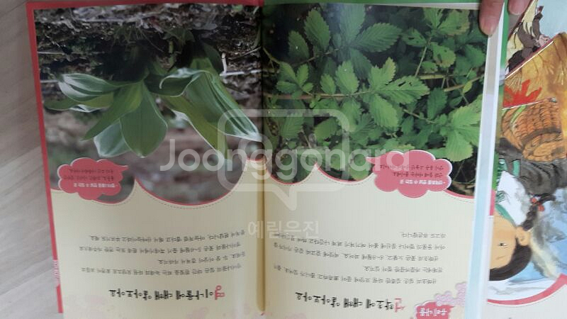 전해오는 우리자연이야기--2