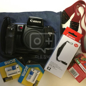 캐논 EOS 5 필름 카메라(SLR)