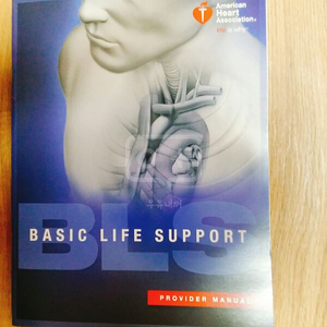 BLS provider manual