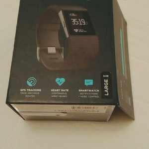 핏빗서지 fitbit surge