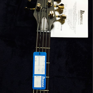 아이바네즈 베이스 ibanez bass SR120