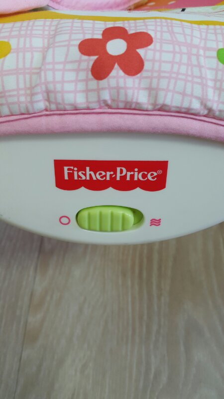 대전))피셔프라이스 바운서--4