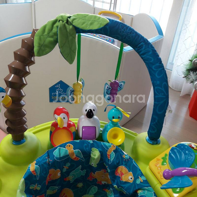 이븐플로엑서쏘서트리플펀아마존--1