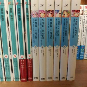 노게임노라이프 라노벨