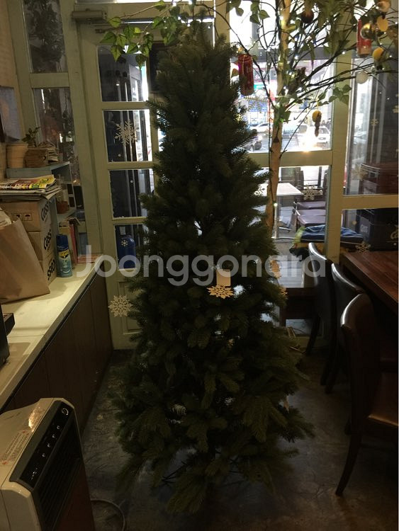 크리스마스트리--0