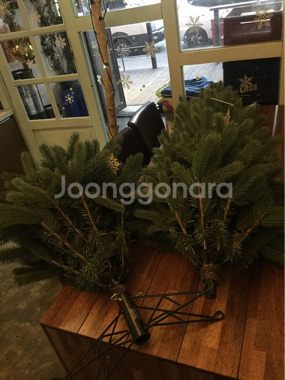 크리스마스트리--1