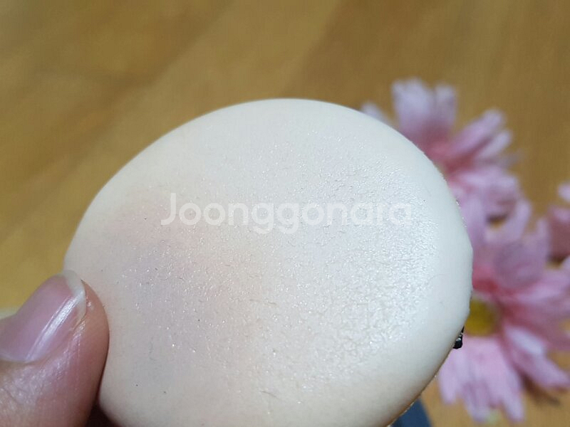 조성아22 바운스 업 팩트 울트라 세트--5