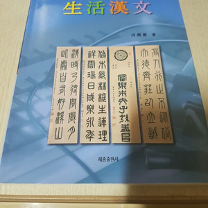디지털시대의 생활한문/하강진/세종출판