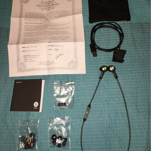 팝니다) 뱅앤올룹슨 H5 (블루투스 이어폰)