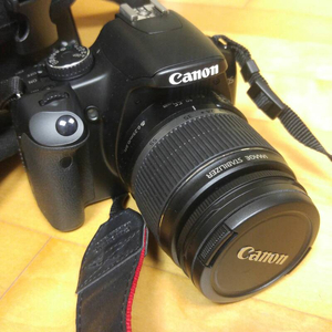 캐논450d DSLR (Canon) 새상품!!!