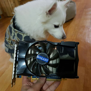 갤럭시gtx 560 팝니다