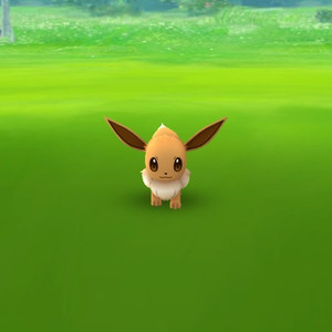 대구에서 HP노트북이나 타사 노트북을 구매하고 싶