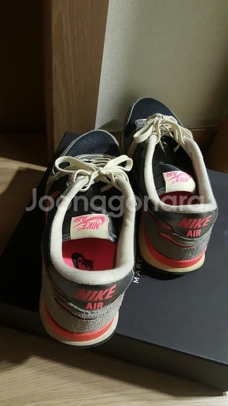 볼텍스 (검회핑)--1