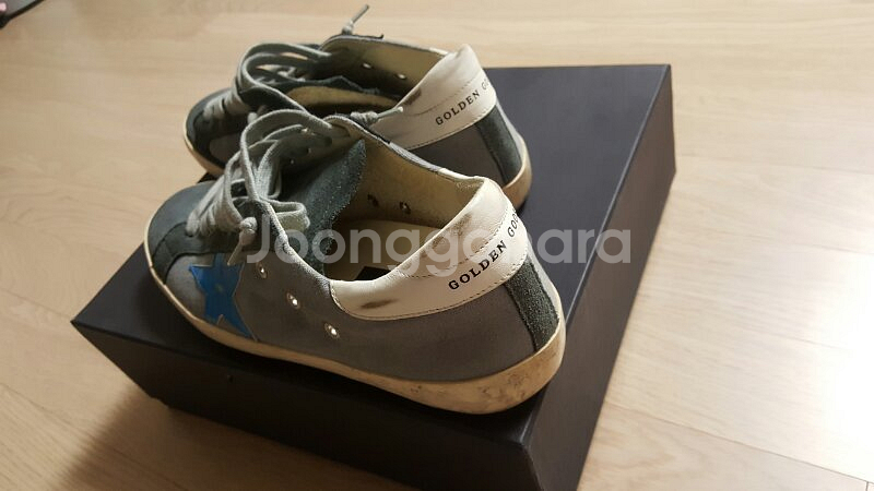 골든구스 (회파)--0