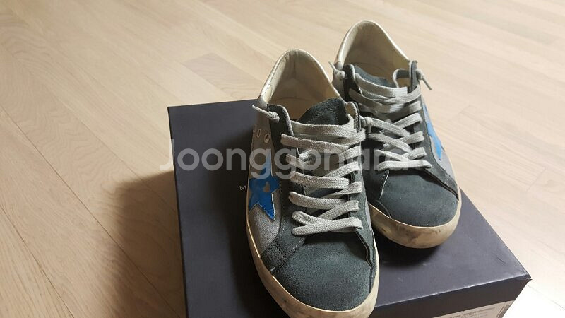 골든구스 (회파)--1